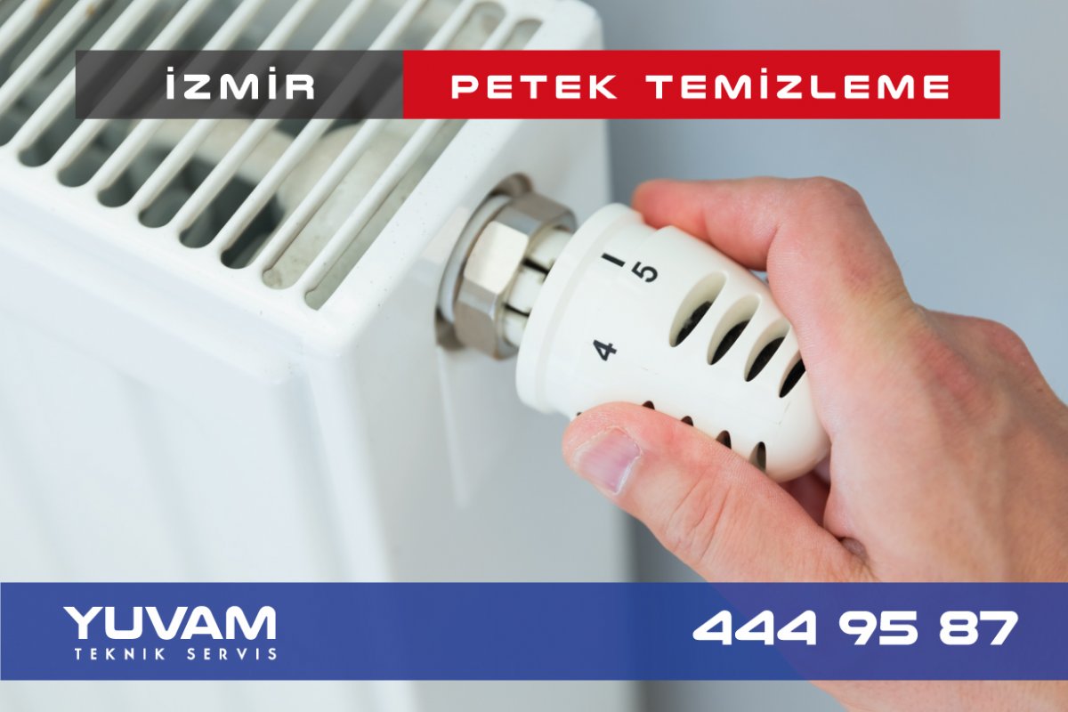 İzmir Petek Temizleme Servisi